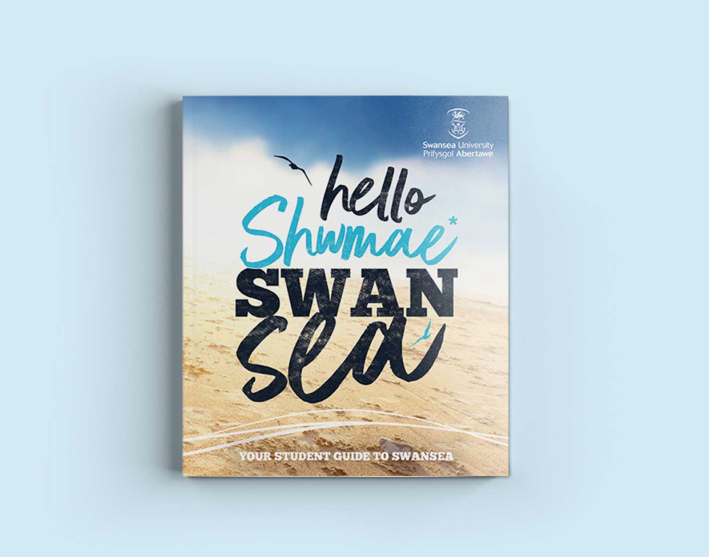 Student Guide to Swansea